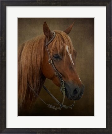 Framed Ready to Compete Print