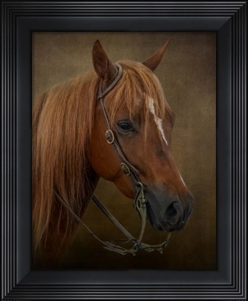 Framed Ready to Compete Print