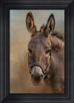 Framed Humble Print
