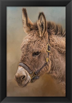 Framed Wild Breed Print