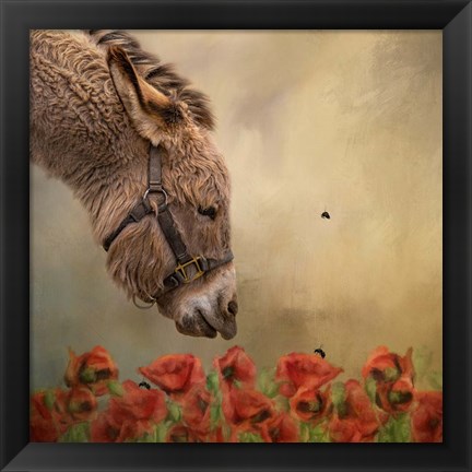 Framed Stop and Smell the Flowers Print