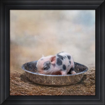 Framed This Little Piggy Print