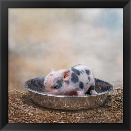 Framed This Little Piggy Print