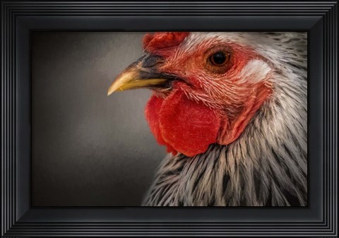 Framed Early Riser Print
