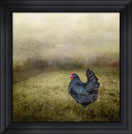 Framed Early Morning Riser Print