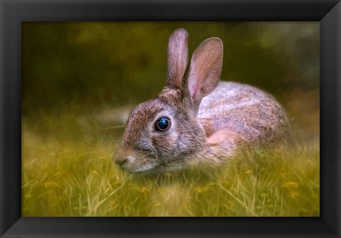 Framed Grassy Bed Print