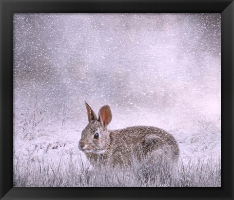 Framed Snow Hopper Print