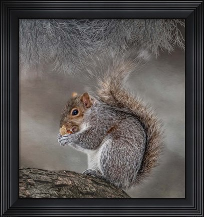 Framed Bright Eyed and Bushy Tailed Print