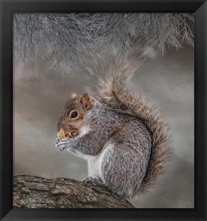 Framed Bright Eyed and Bushy Tailed Print