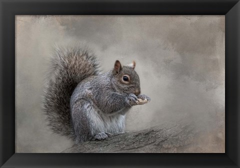 Framed Winter Nibbles Print