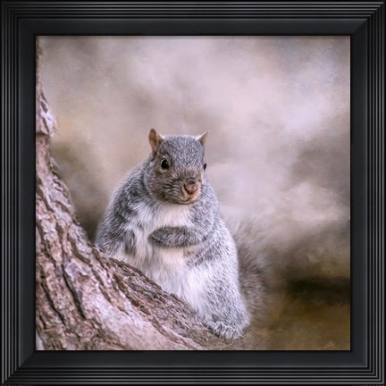 Framed Looking Innocent Print