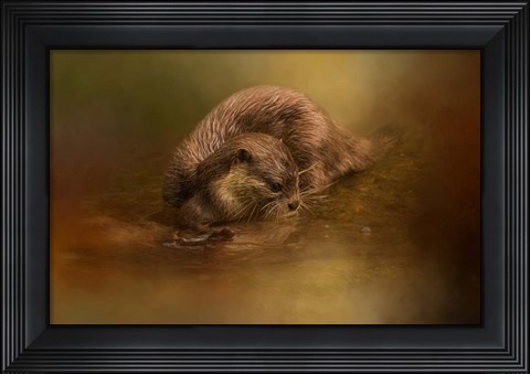 Framed Otter Curiosity Print