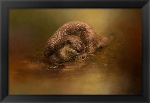 Framed Otter Curiosity Print