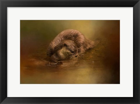 Framed Otter Curiosity Print