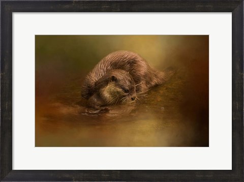 Framed Otter Curiosity Print