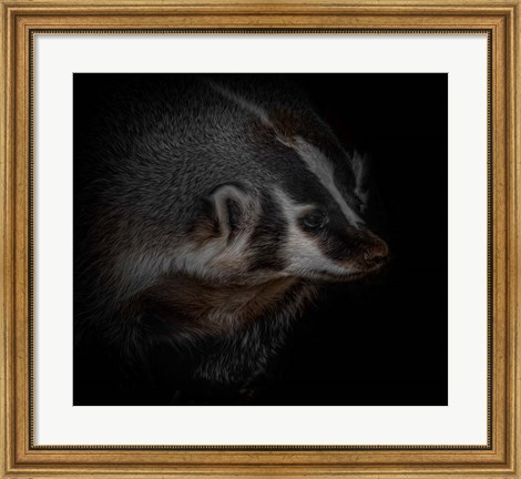 Framed Sir Badger Print
