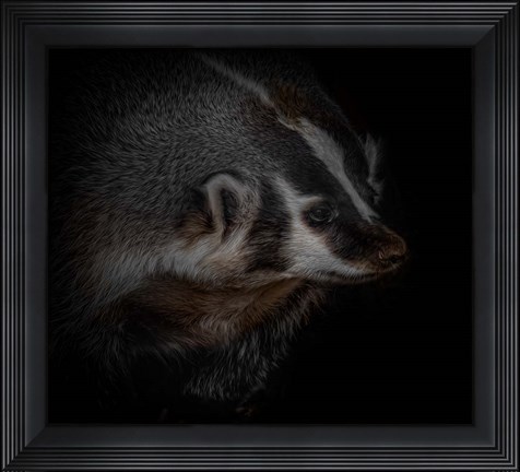 Framed Sir Badger Print