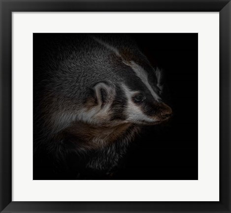 Framed Sir Badger Print
