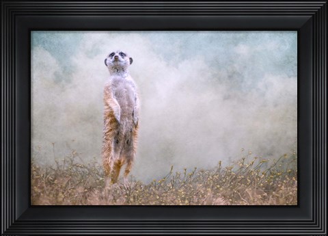 Framed Sky&#39;s the Limit Print