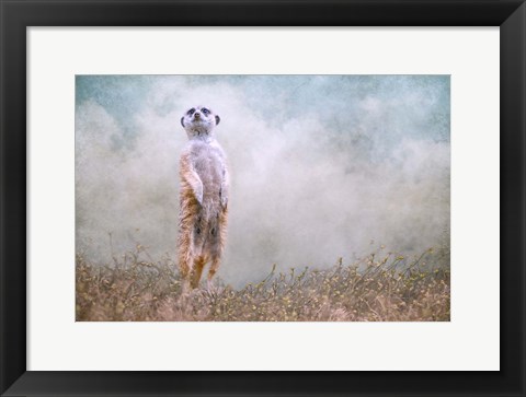 Framed Sky&#39;s the Limit Print