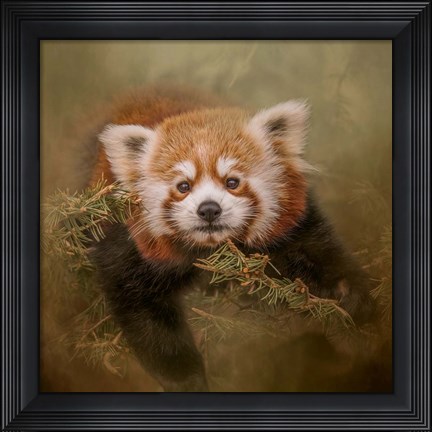 Framed Hanging Out Print