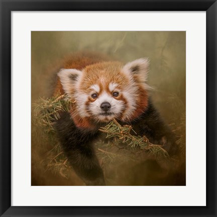 Framed Hanging Out Print