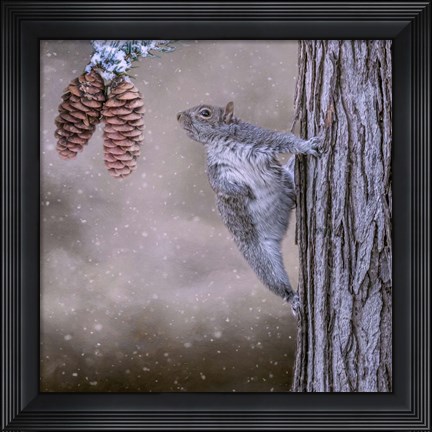 Framed Eye on the Prize Print