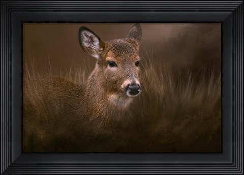 Framed Encounter Print