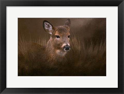 Framed Encounter Print