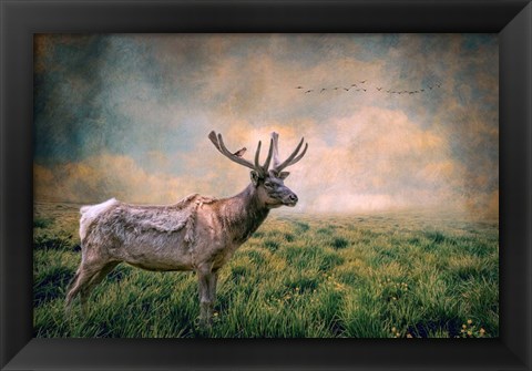 Framed Lone Leader Print