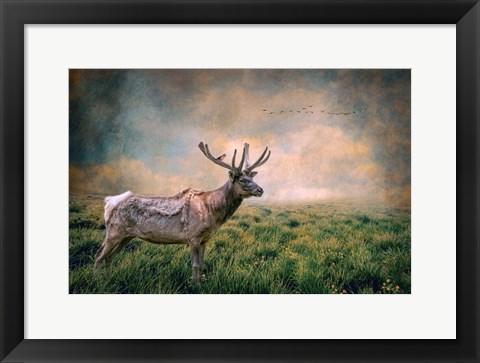 Framed Lone Leader Print