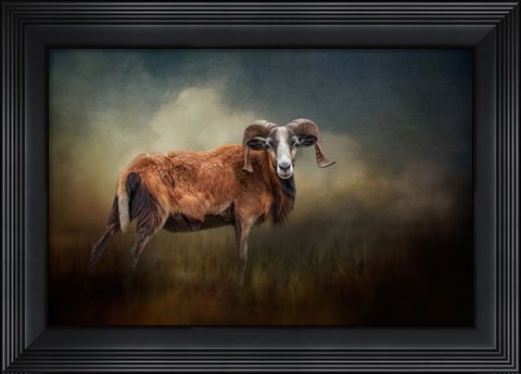 Framed Focused on You Print