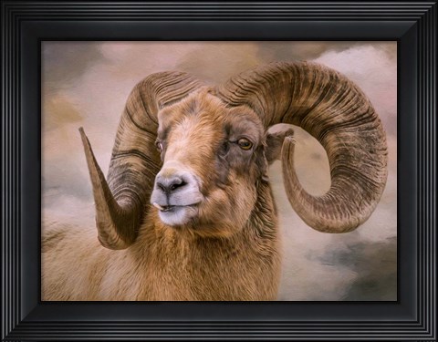 Framed Mountain Dweller Print