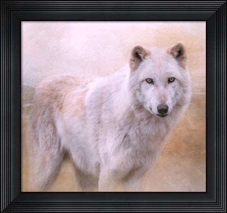 Framed Wolf Quest Print