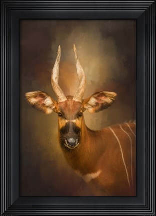 Framed Wild Star Print