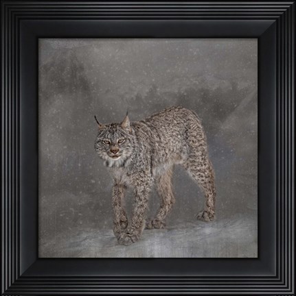 Framed Ghost Cat Print