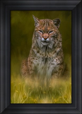 Framed Standing Watch Print