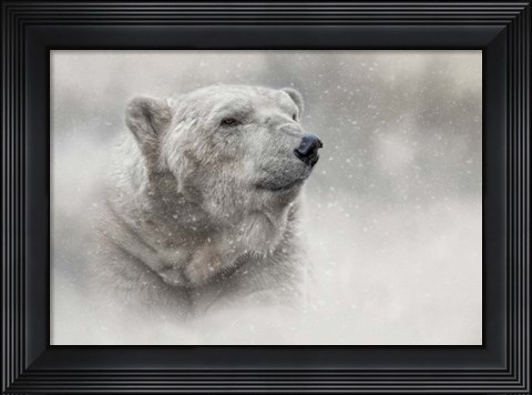 Framed Prince of the North Pole Print