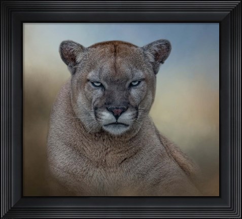 Framed Not Amused Print