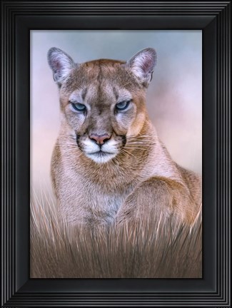 Framed Hypnotist Print