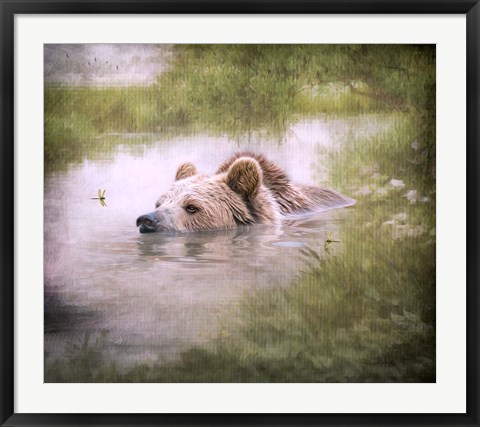 Framed Bearly Swimming Print