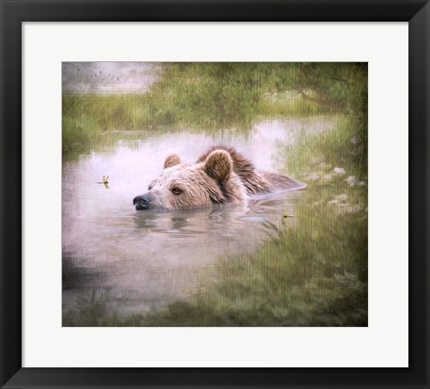 Framed Bearly Swimming Print