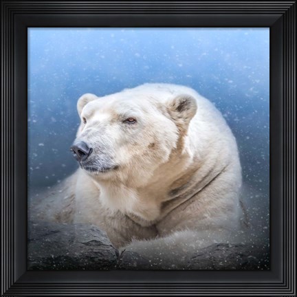 Framed Snow King Print