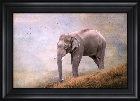 Framed Silent Traveler Print