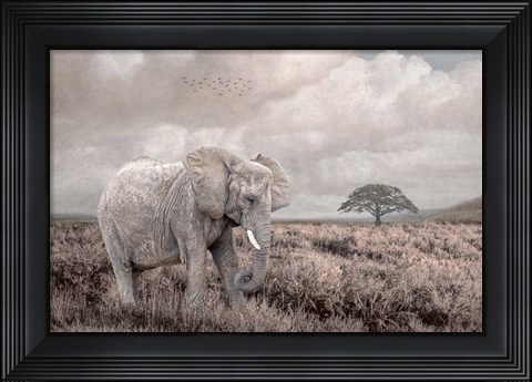 Framed Time to Move On Print