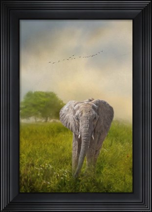 Framed Solo Approach Print