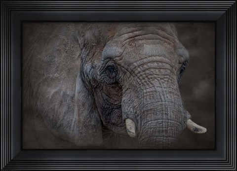 Framed Textured Print