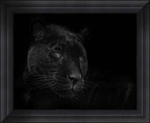 Framed Green Eyed Beauty Print