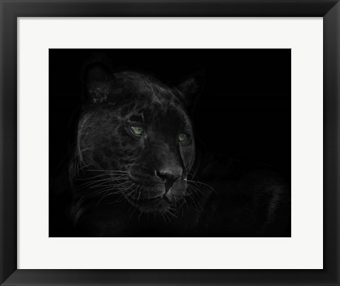 Framed Green Eyed Beauty Print