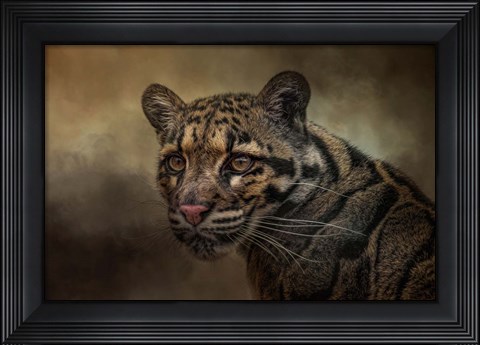 Framed Locked On Print